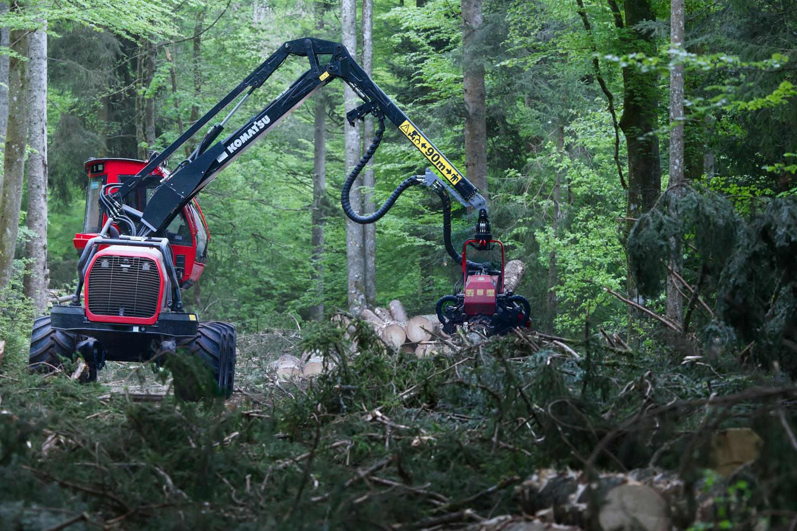 Forestry machine with a hydraulic boom working inside the forest
