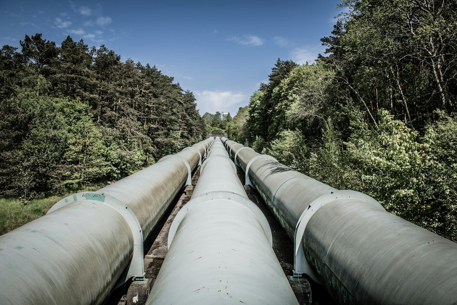 Parallel pipelines running through a forest